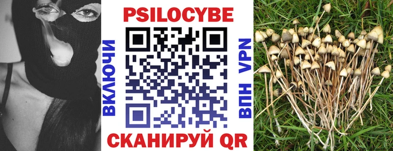 Псилоцибиновые грибы Magic Shrooms  цены наркотик  Крым 